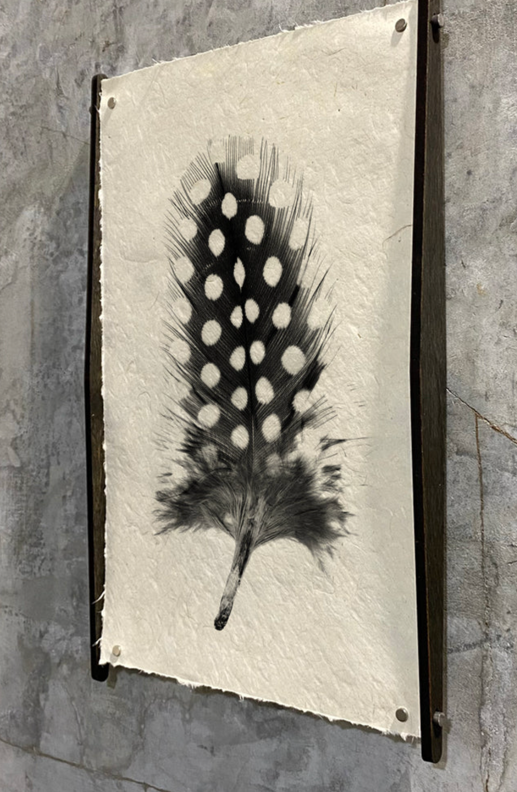 Hans Veener Print Display