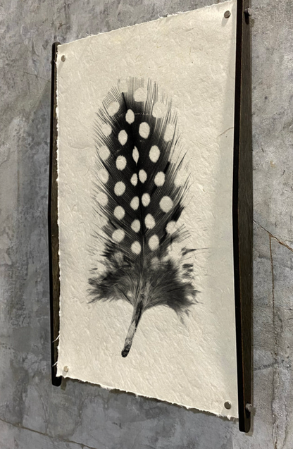 Hans Veener Print Display