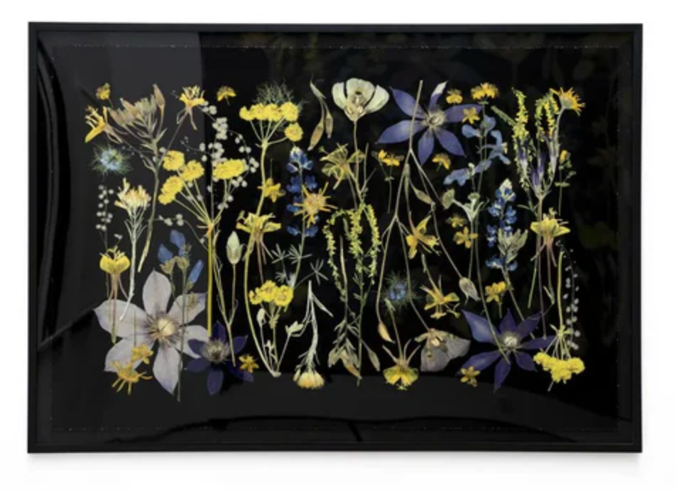 Night Meadow by Domain of the Flowerings