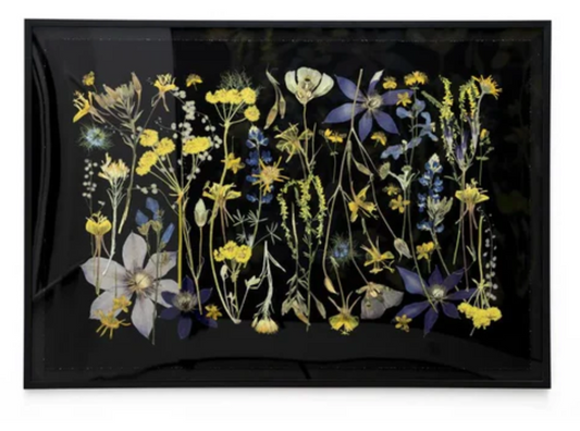 Night Meadow by Domain of the Flowerings