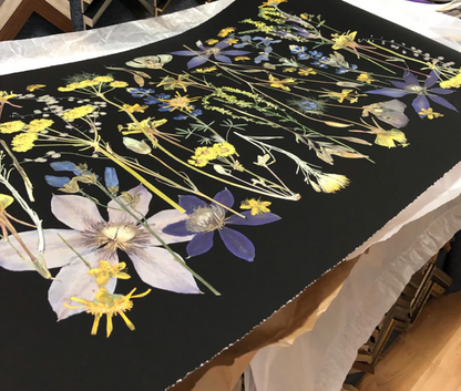 Night Meadow by Domain of the Flowerings