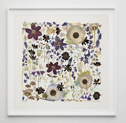 Violet Rhapsody, Framed by Domain of the Flowerings