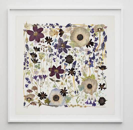 Violet Rhapsody, Framed by Domain of the Flowerings