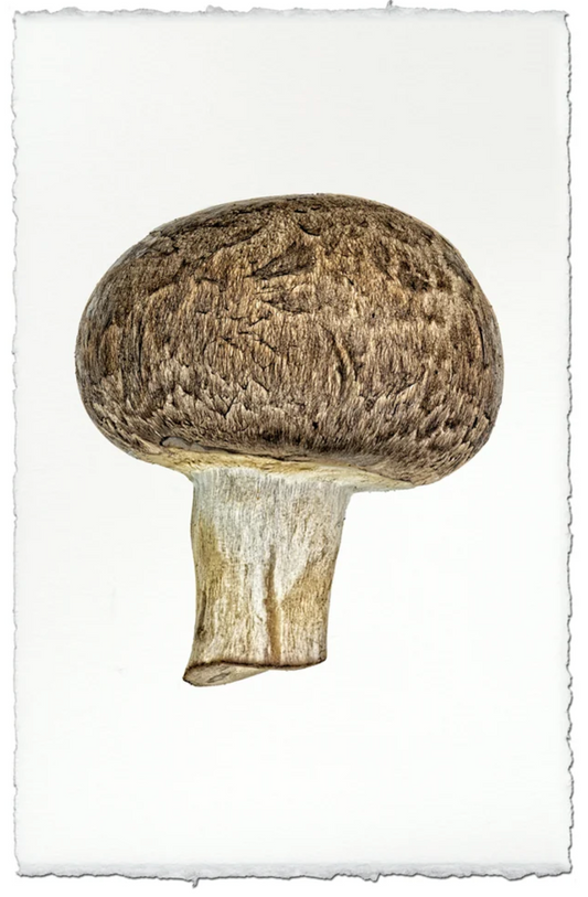 Cremini Mushroom