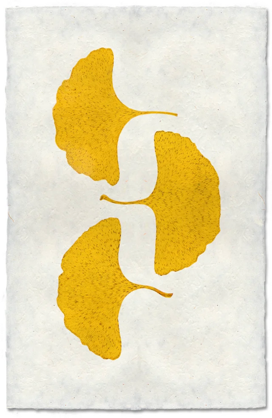 Three Yellow Gingko