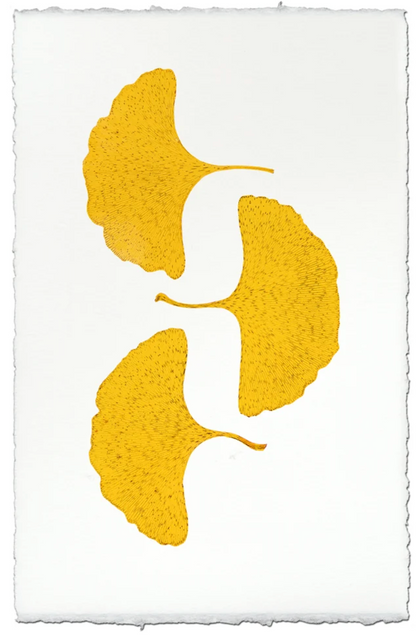Three Yellow Gingko
