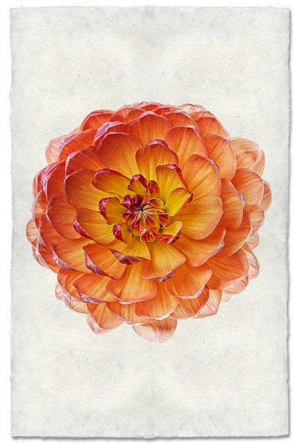 Pam Howden