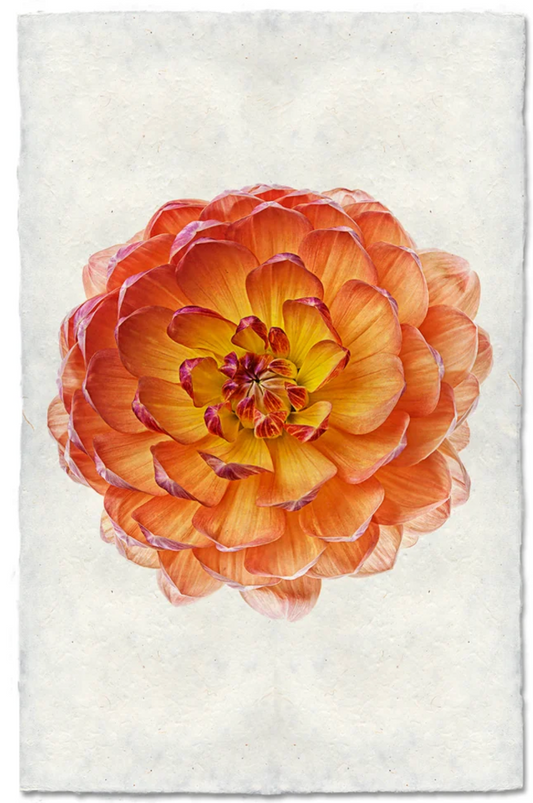 Pam Howden