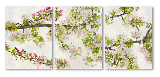 Cherry Blossom Trilogy Triptych