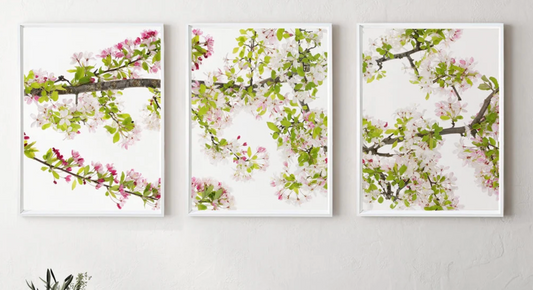 Cherry Blossom Trilogy Triptych