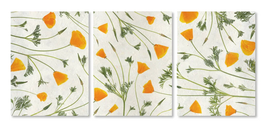 California Poppy Trilogy Triptych