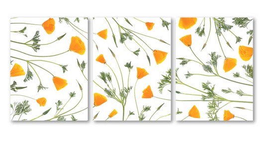 California Poppy Trilogy Triptych