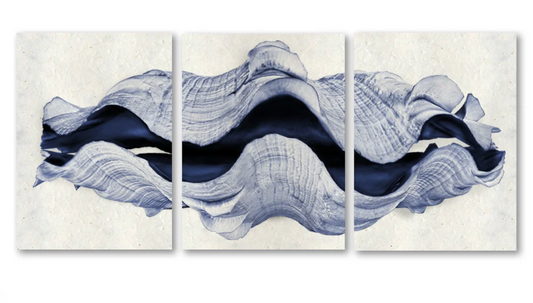 Giant Clam Trilogy Triptych