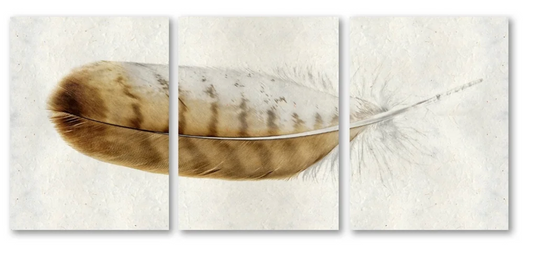 Red Tailed Hawk Trilogy Triptych