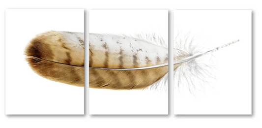 Red Tailed Hawk Trilogy Triptych