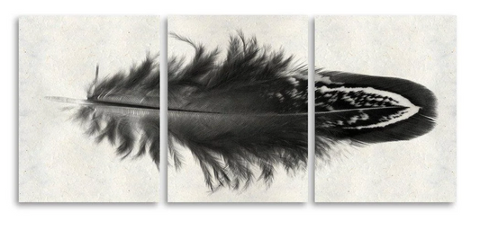 Feather #3 Trilogy Triptych