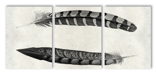 Two Curved Feathers Trilogy Triptych