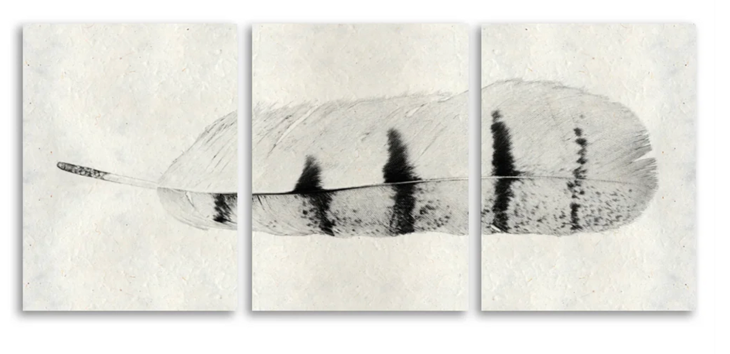 Feather #8 Trilogy Triptych