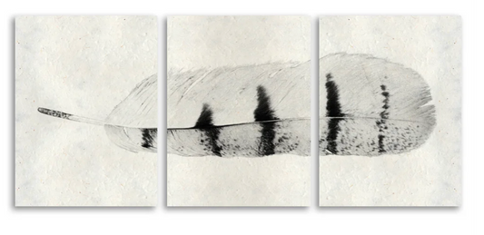 Feather #8 Trilogy Triptych