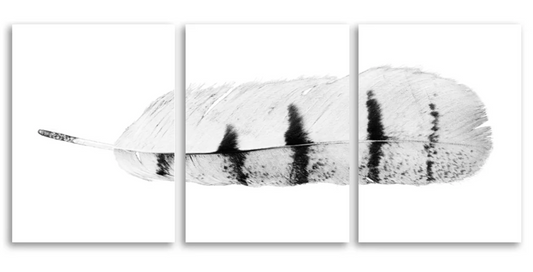 Feather #8 Trilogy Triptych