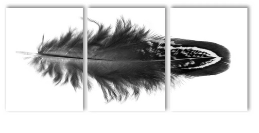 Feather #3 Trilogy Triptych