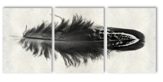 Feather #3 Trilogy Triptych