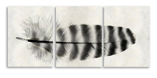 Feather #17 Trilogy Triptych