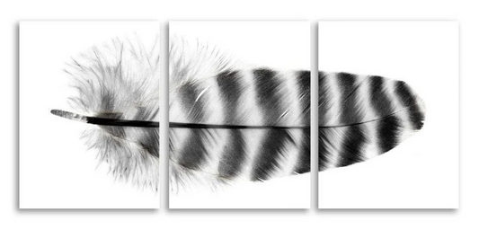 Feather #17 Trilogy Triptych