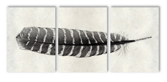 Feather #16 Trilogy Triptych
