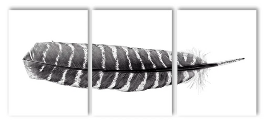 Feather #16 Trilogy Triptych