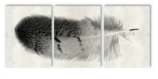 Feather #7 Trilogy Triptych