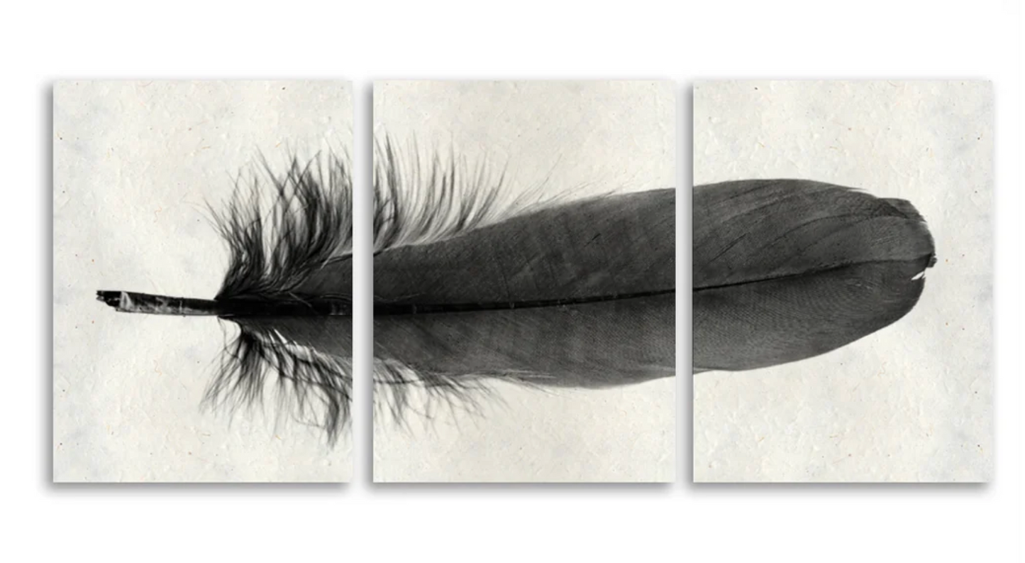 Feather #6 Trilogy Triptych