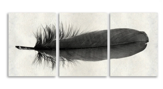 Feather #6 Trilogy Triptych