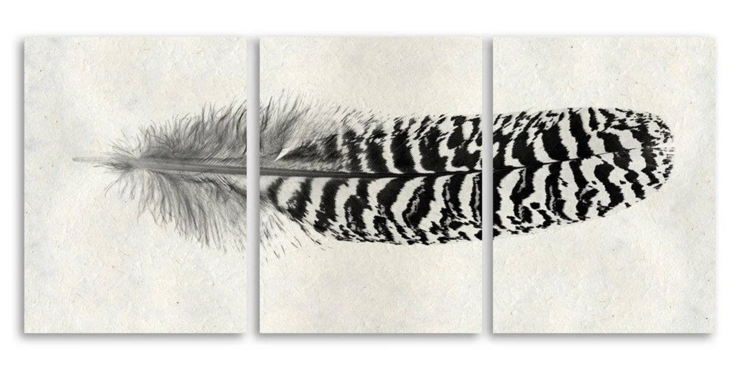 Feather #13 Trilogy Triptych