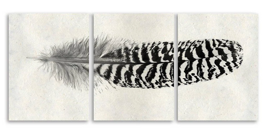 Feather #13 Trilogy Triptych