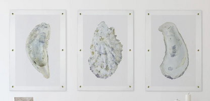 Acrylic Enclosures | Framing by Barloga Studios