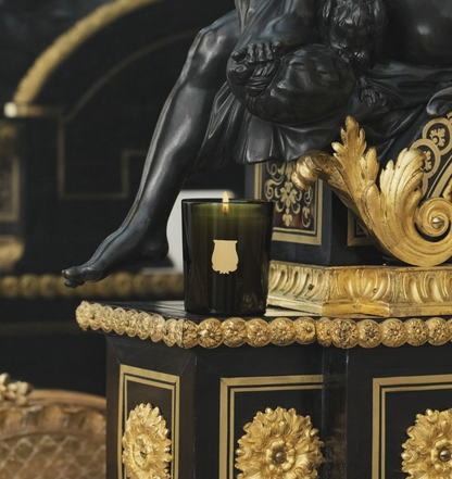 TRUDON | Ernesto, Small 70g