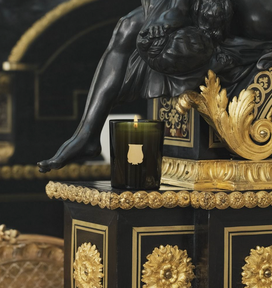 TRUDON | Ernesto, Small 70g