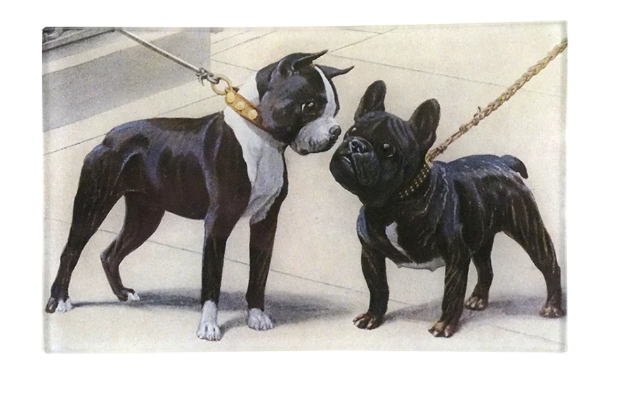 John Derian | Boston Terrier & French Bulldog  5x8" Rect. Tray
