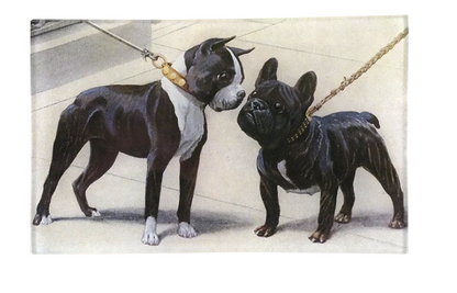 John Derian | Boston Terrier & French Bulldog  5x8" Rect. Tray