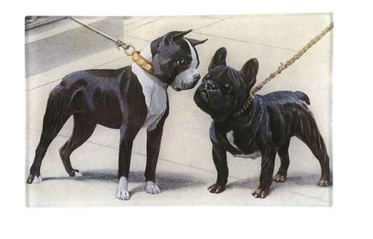 John Derian | Boston Terrier & French Bulldog  5x8" Rect. Tray