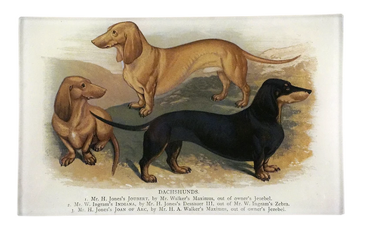 John Derian | 3 Dachshunds 5x8" Rect. Tray