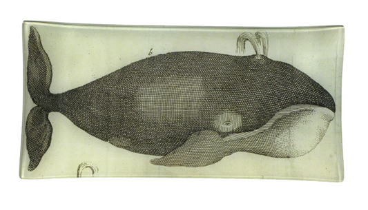 John Derian | Spouting Whale 6x12" Pencil Tray