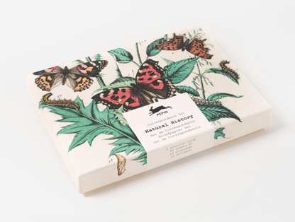 PEPIN PRESS| Correspondence Set Assorted
