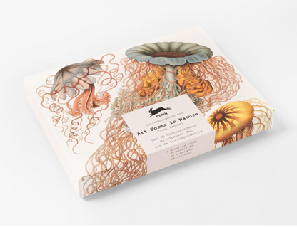 PEPIN PRESS| Correspondence Set Assorted