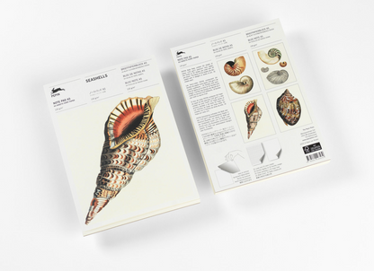 PEPIN PRESS | A5 Note Pad & Writing Paper