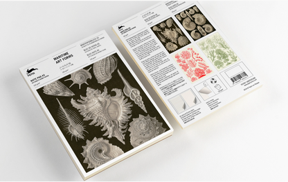 PEPIN PRESS | A5 Note Pad & Writing Paper