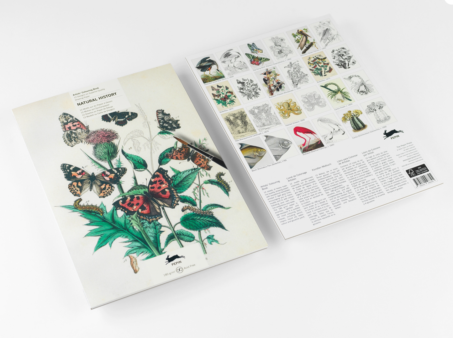 PEPIN PRESS | Artists' Colouring Book Assorted