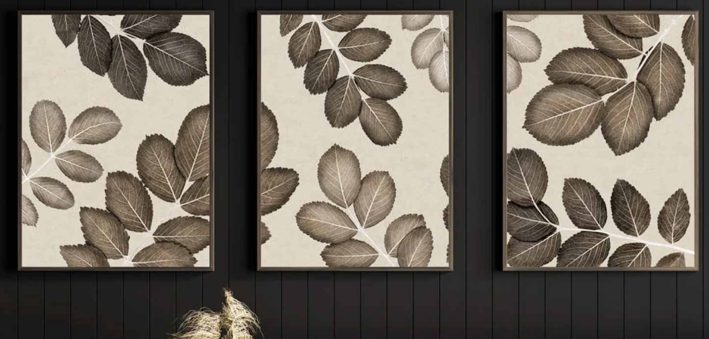 Triptych Trilogy | Framing by Barloga Studios