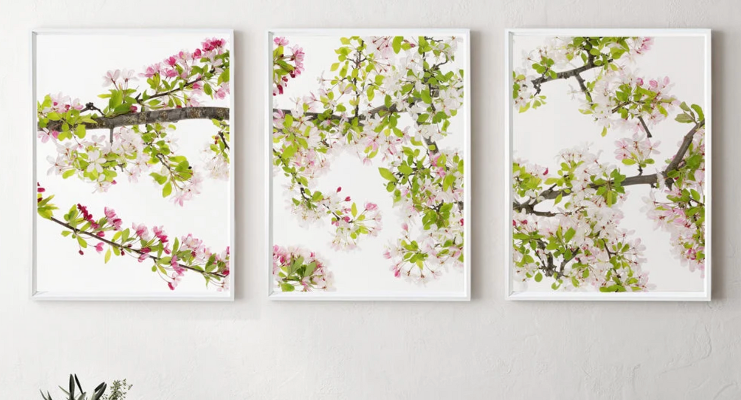 Triptych Trilogy | Framing by Barloga Studios